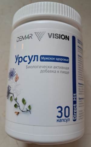  URSUL VISION